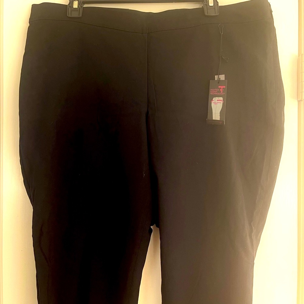 Lane Bryant Black Pant “Sophie”